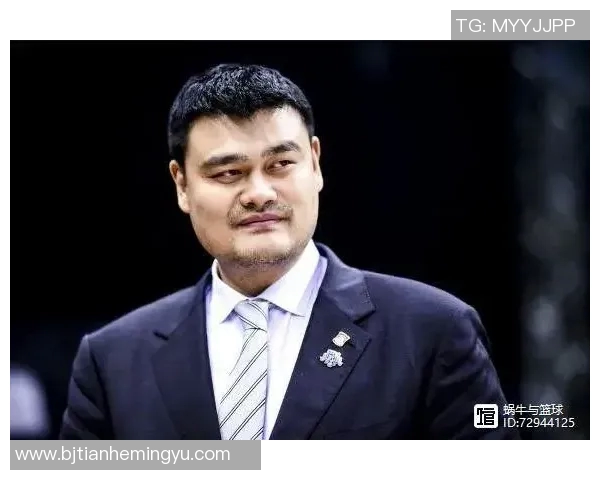 2014姚明梦之队的辉煌时刻与中国篮球的未来展望