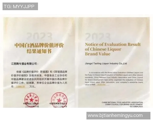 足球明星与终身代言合同的深度解析及其对品牌价值的影响 足球明星与终身代言合同的深度解析及其对品牌价值的影响